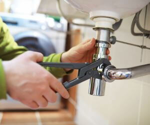 About Plumbers Pros Beaver, WA